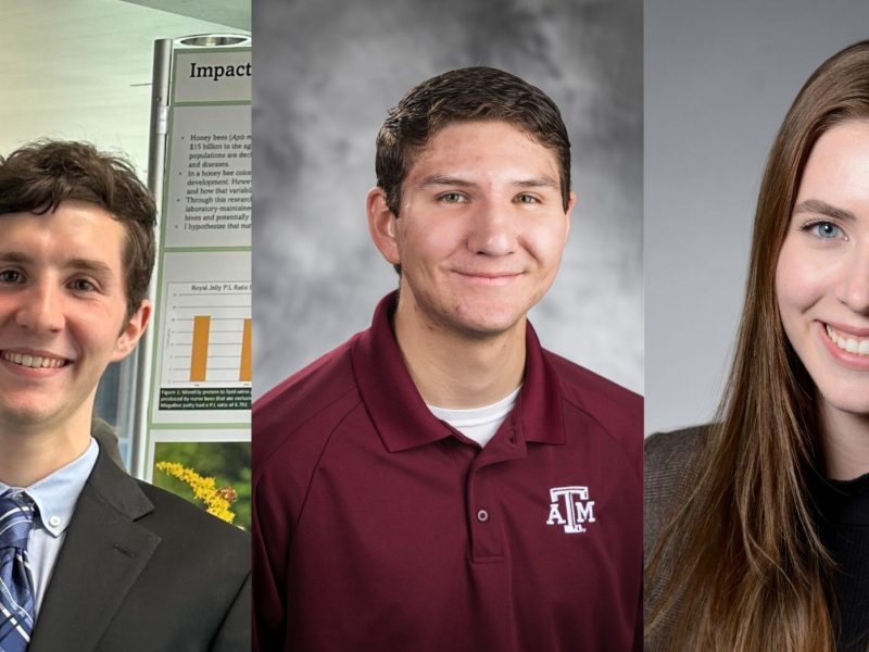 National Sorghum Foundation names annual scholarship winners