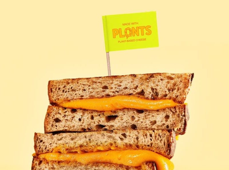 Armed with $12m in seed funding, Plonts launches plant-based cheese in New York, San Francisco