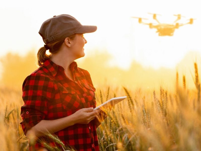 AI could be ‘the next thing’ to move agronomic recommendations forward, says ag retailer survey