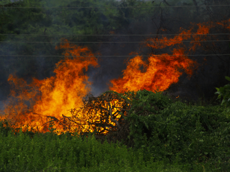 Работа с трактор, въпреки забрана, е причината за пожара в Хасковско – Криминално