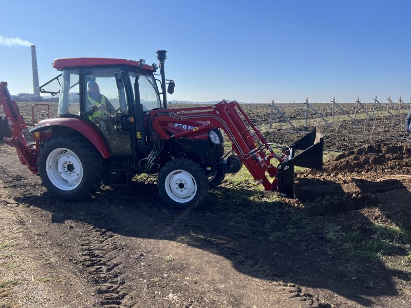 Китайски изследователи създават невронна мрежа за моделиране на формирането на човешки концепции