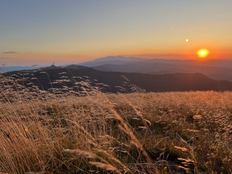 Целева консултация относно намаленото съдържание и стандартизирания формат на проспекта за последващи инвестиции в ЕС и проспекта на ЕС за емитиране на ценни книжа за растеж  