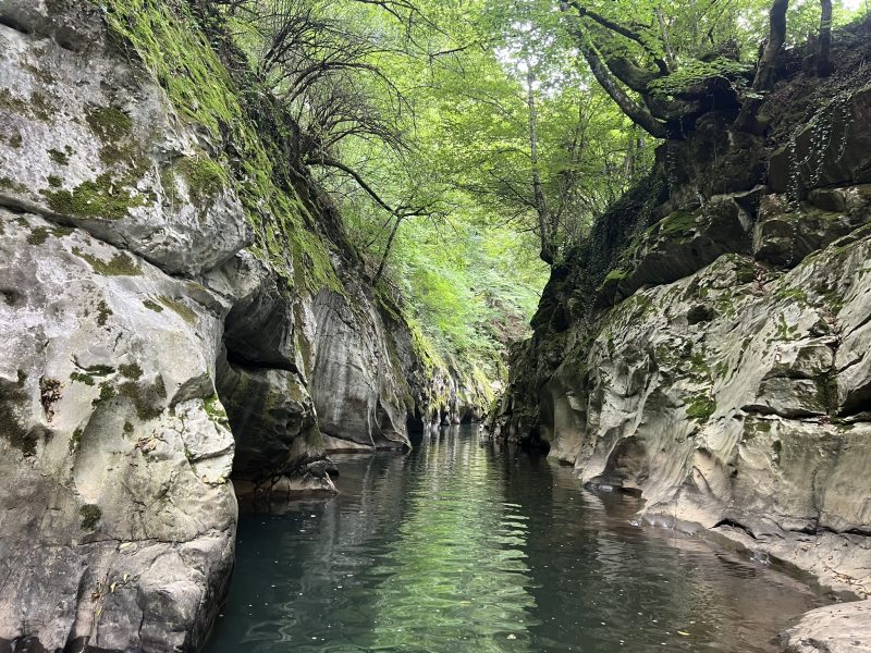Колона от автомобили по пътя Долна Махала