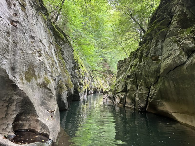 Община Бургас