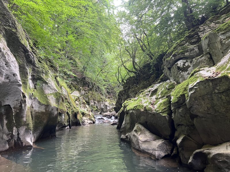 Изграждане на Силозни системи за съхранение на зърно  в Селскостопанска техника в гр. Търговище