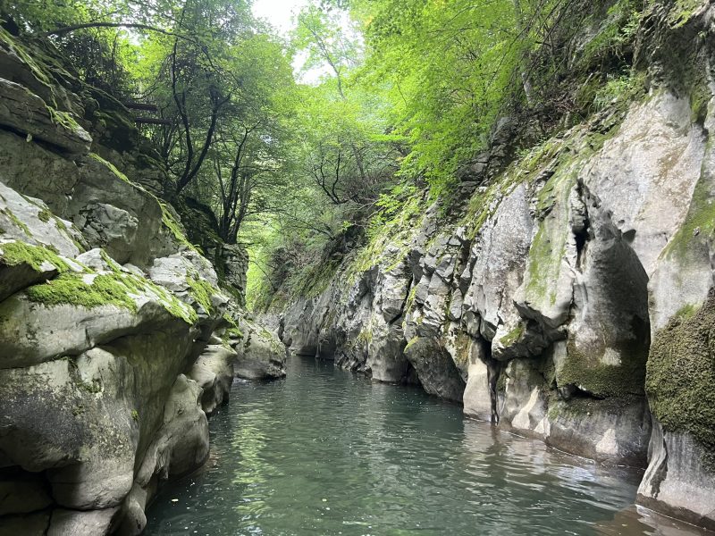 Пребиха сръбски студенти в Нови Сад, насрочен е нов протест