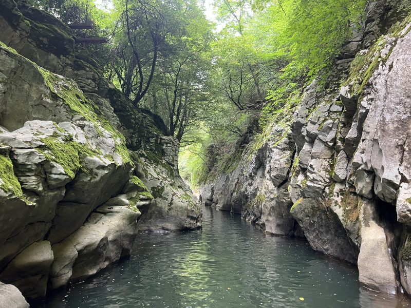 Властите в Zhejiang разследват смърт на дете в болница