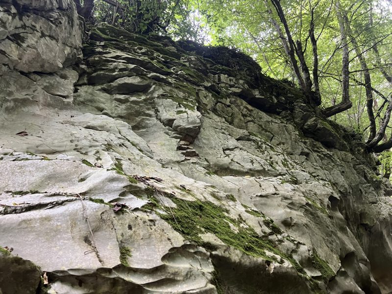 ИАНМСП подкрепи българския бизнес за национално участие в Международната изложба за собствени марки PLMA`s 2025 „World of Private Label“, гр. Амстердам, Нидерландия