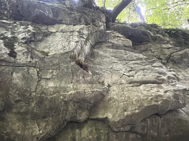 Повишените нива на желязо са ключът към социалната тревожност