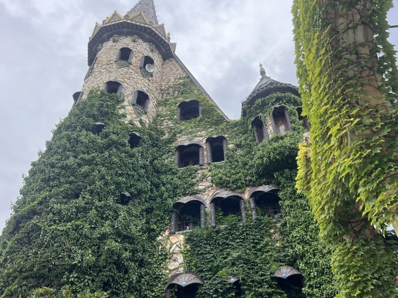 Изпълнителна агенция по горите | Новини