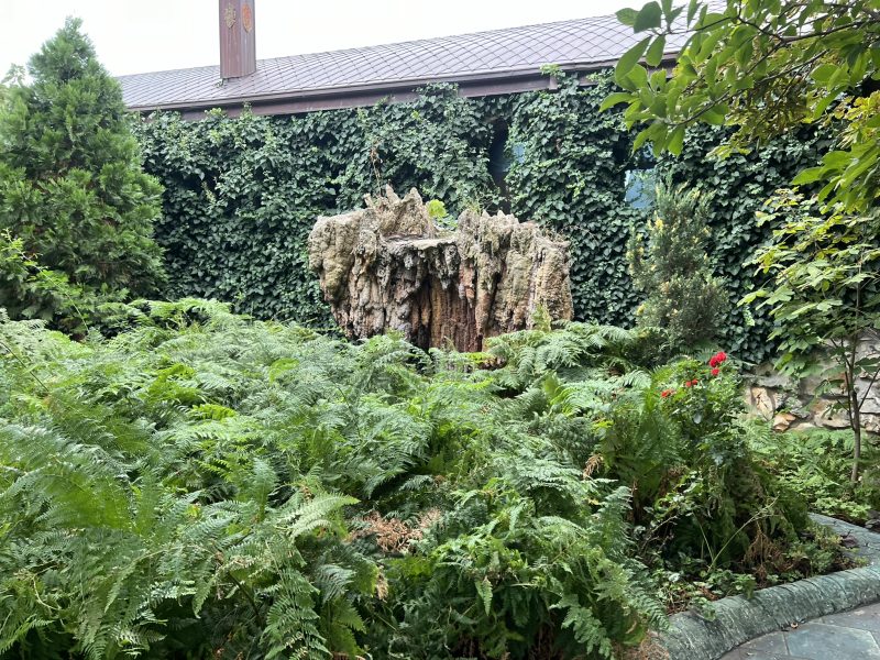 България се доказа като балансираща мощност на Балканите и гарант за сигурността на енергийните мрежи в региона