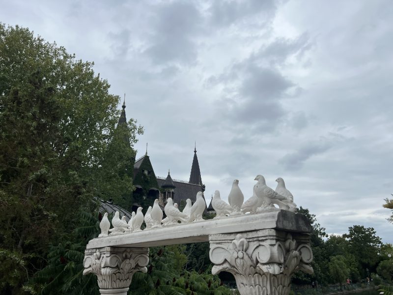 УО на ПОС 2021-2027 г. обяви процедура „Изпълнение на мярка 68 от Националната рамка за приоритетни действия за НАТУРА 2000“ по приоритет 3 „Биологично разнообразие“