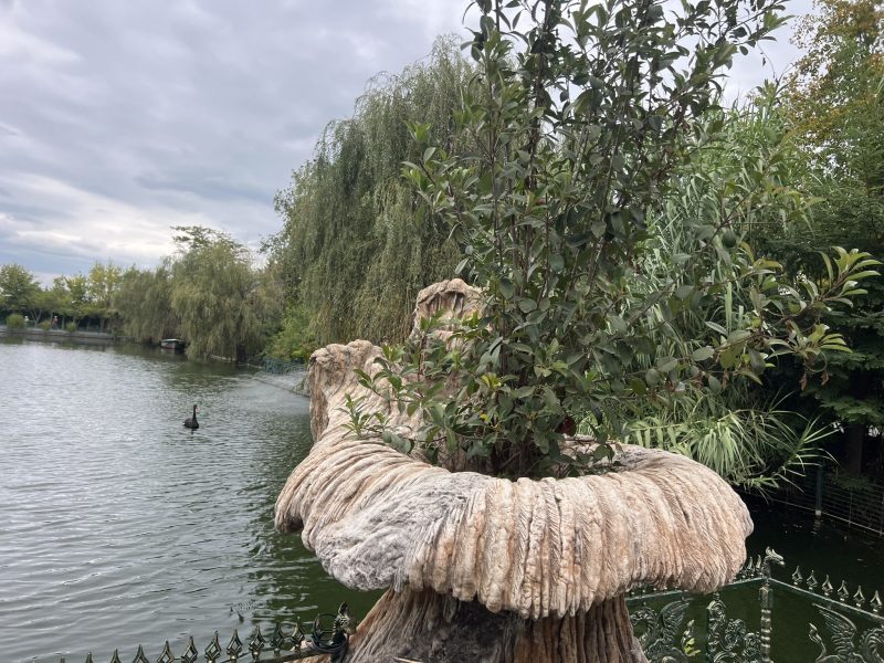 НОВИНИ – DFZ Public