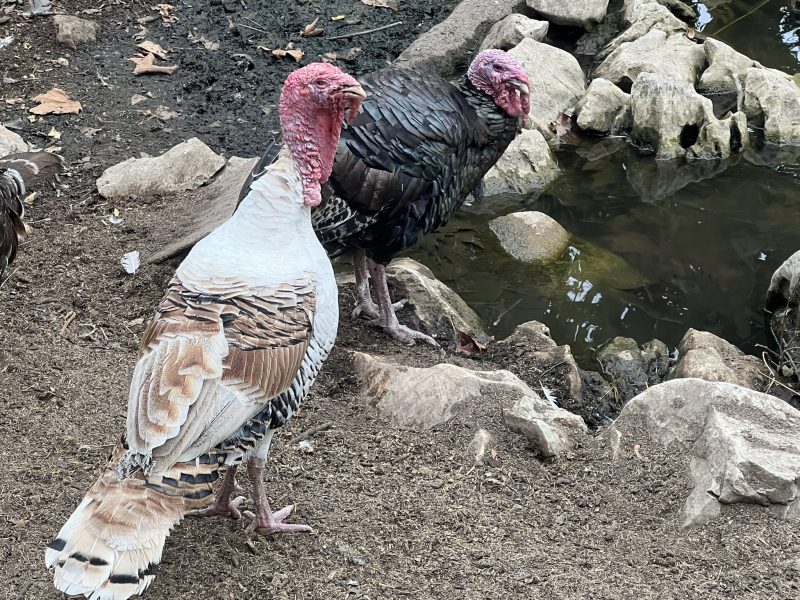 Решения от заседание на 12.12.2024 г.