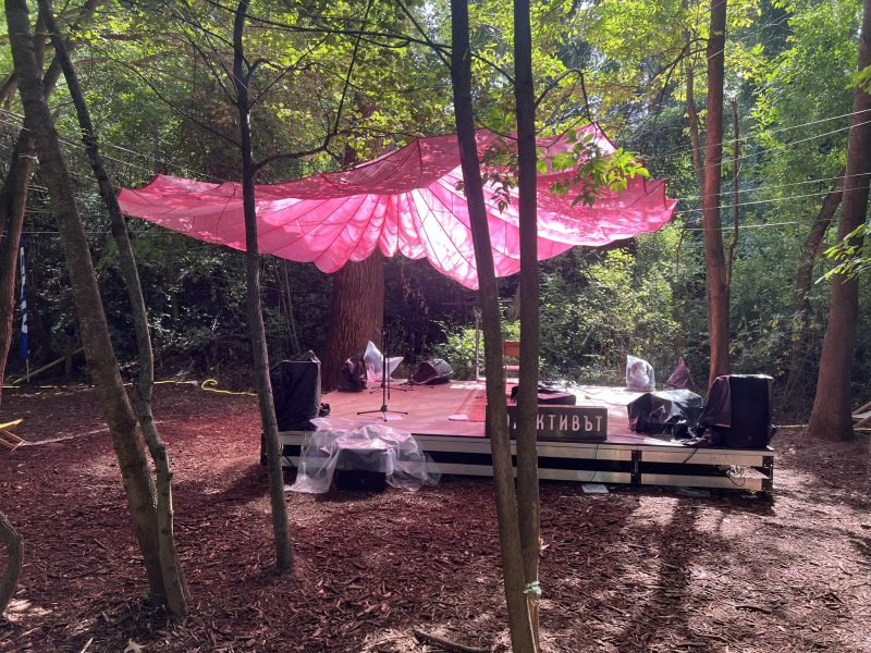 Изпълнителна агенция по горите | Новини