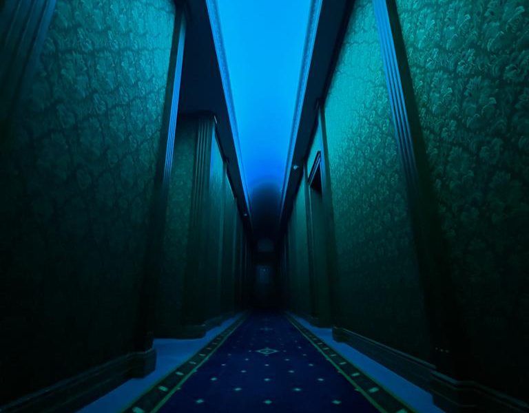 Офертата на JD за Ceconomy от $2,5 милиарда е изправена пред регулаторна пречка в Австрия