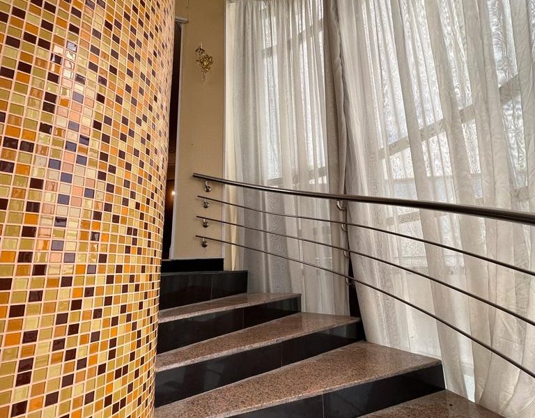 Изпълнителна агенция по горите | Новини