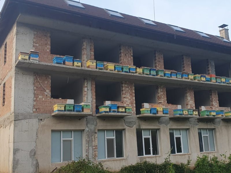 ByteDance наема лидера на големия модел на Alibaba на фона на спор · TechNode