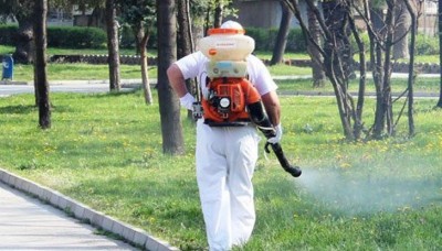 Пръскат извънредно срещу комари в Пловдив