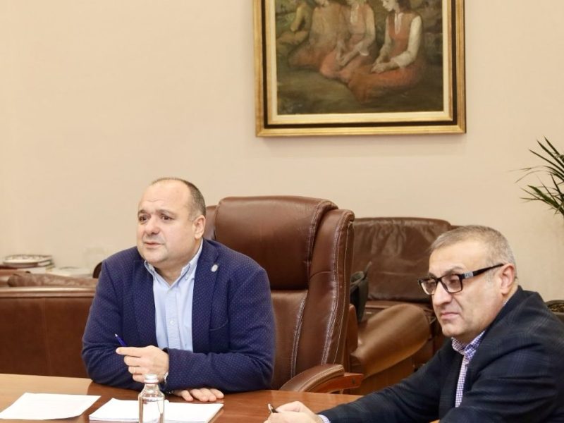 Учени и експерти търсят практически решения за предотвратяване на инциденти със защитени видове птици