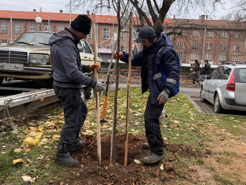 Още 30 нови дръвчета обогатяват зелените пространства в Парка на младежта