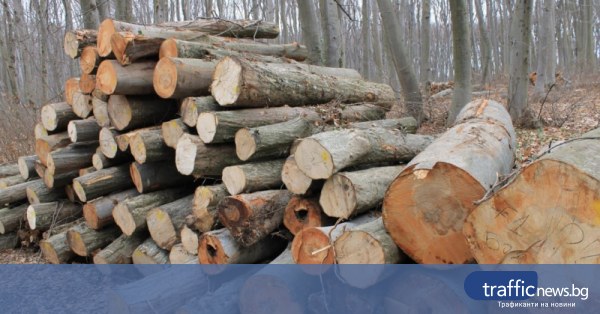 Текущи: Актуални покани в полза на бизнеса