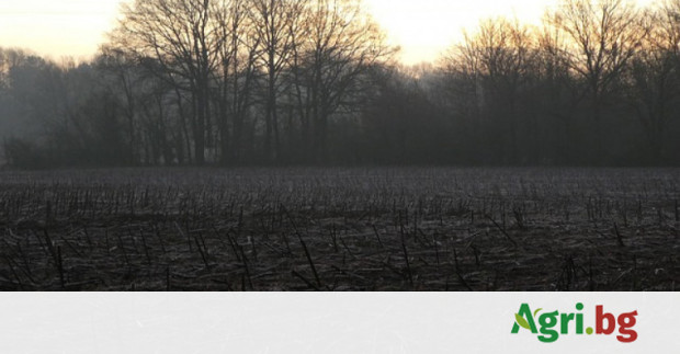 Какво ще е времето през февруари?