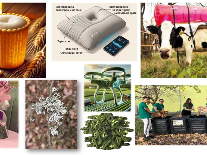 ДИТ Благоевград: Трудовите договори няма да се преподписват след въвеждането на еврото