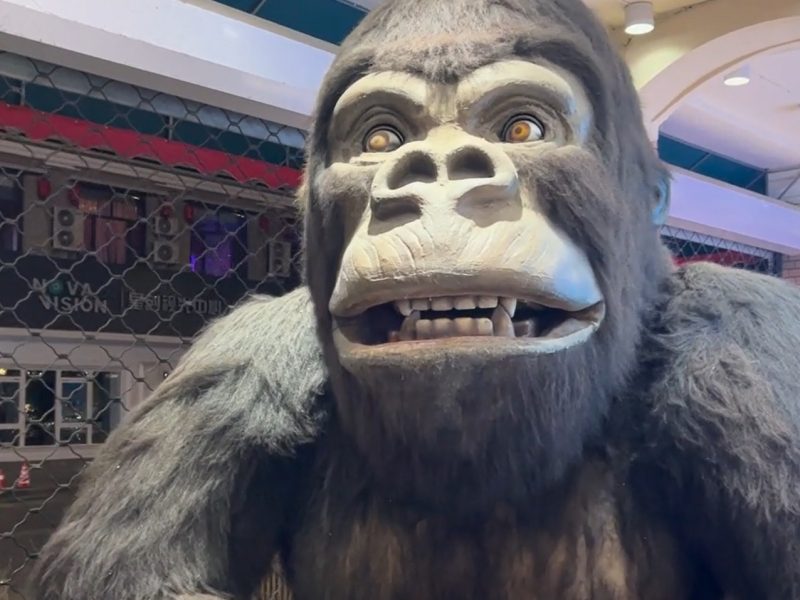 Изборите в България са изключително честни!