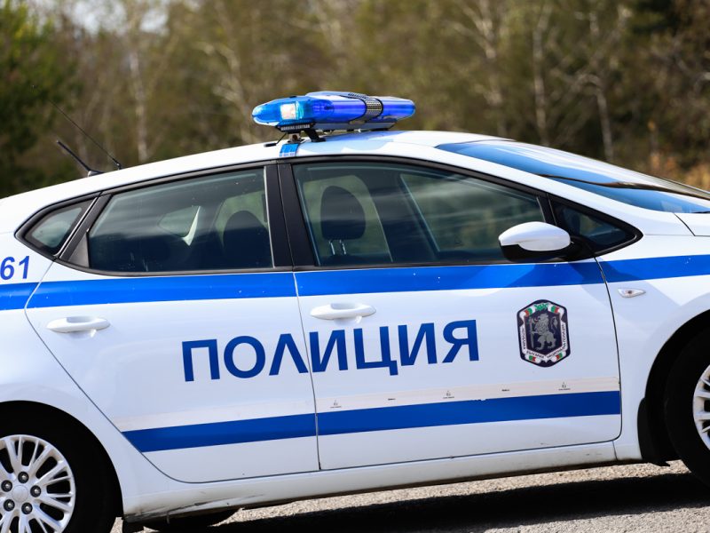 Ива Иванова, изпълнителен директор на Държавен фонд „Земеделие“: Приключи обработката на 145 проектни предложения по подмярка 4.2.