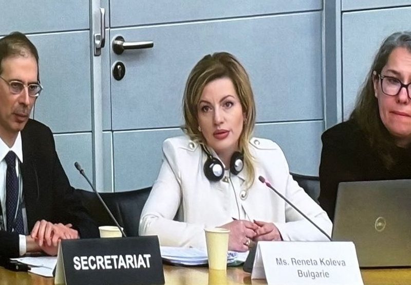 Заместник-министър Ренета Колева участва в заседание на Комитета по екологична политика на ОИСР