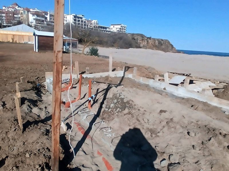 Изпълнителна агенция по горите | Новини