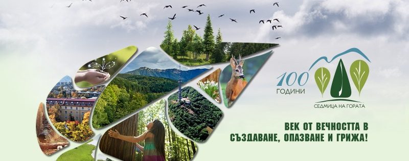 Програма за провеждане на седмица на гората 2025г. — Изпълнителна агенция по горите