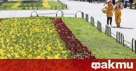 Времето днес, прогноза за понеделник, 2 юни: Остава предимно слънчево, следобед може да превали