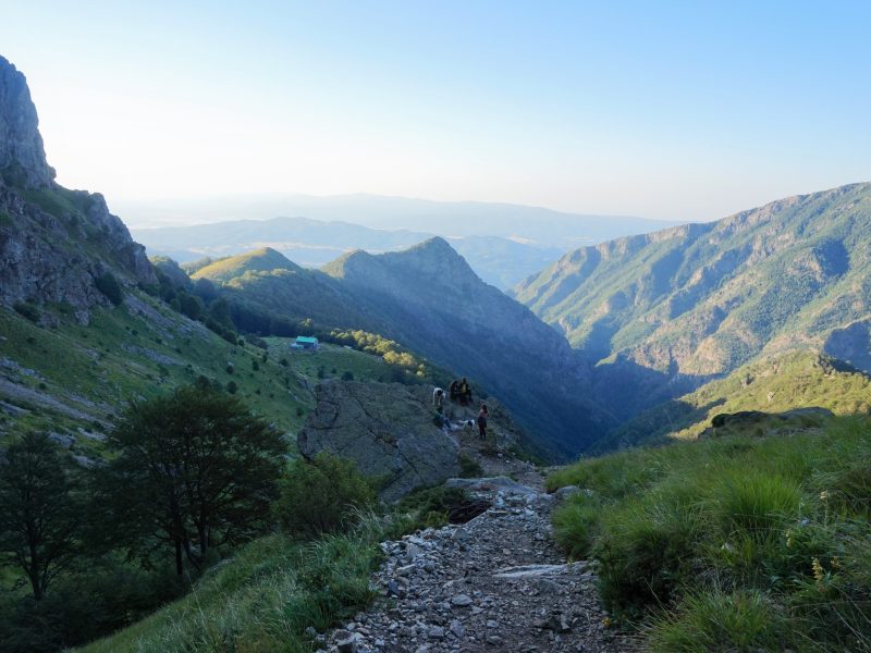 Китайска компания бележи голям пробив в осцилоскопите