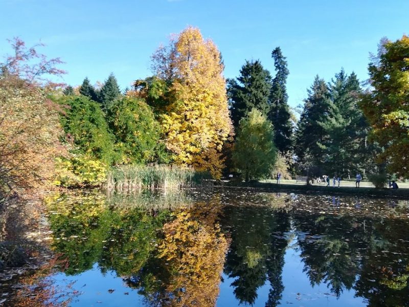 Надежда Бобчева: Столичната община е загрижена за бъдещето на парк “Врана” и за пореден път заявява готовност да поеме отново грижата за него по законен ред
