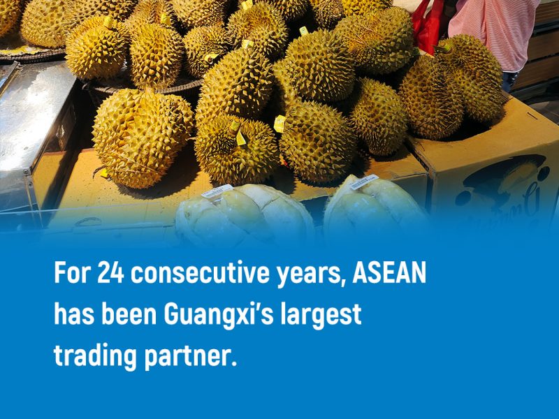 Guangxi-Asean сътрудничеството повишава регионалното развитие