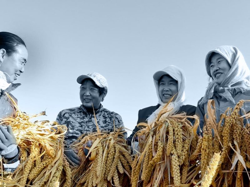 Китайският екип казва, че въглеродният диоксид може да се превърне в захар, предлагайки решение на глобалните проблеми