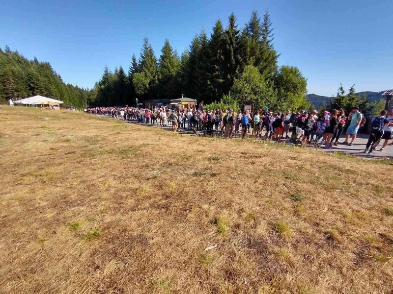 Изпълнителна агенция по горите | Новини