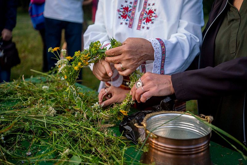 Отменя се фестивала „Зелени слънца“ — Изпълнителна агенция по горите