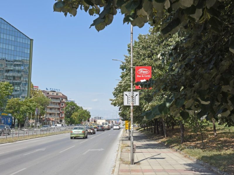 Обработват срещу вредители дървесна растителност в централната част на Варна