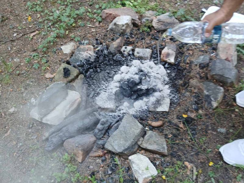 Изпълнителна агенция по горите | Новини