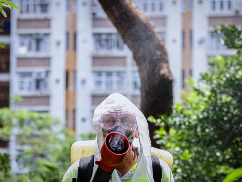 Рискът от внос на чикунгуня в Хонконг се очаква да нарасне: здравен служител