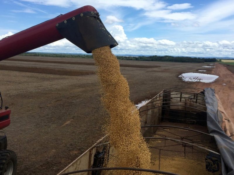 Ранните покупки на соя от Китай в Южна Америка изтласкат САЩ от пиковия прозорец за износ