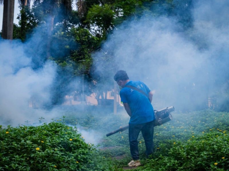 Китайската провинция Гуандун обещава “решаващите” мезасири, когато се разпространяват случаи на треска на Чикунгуня