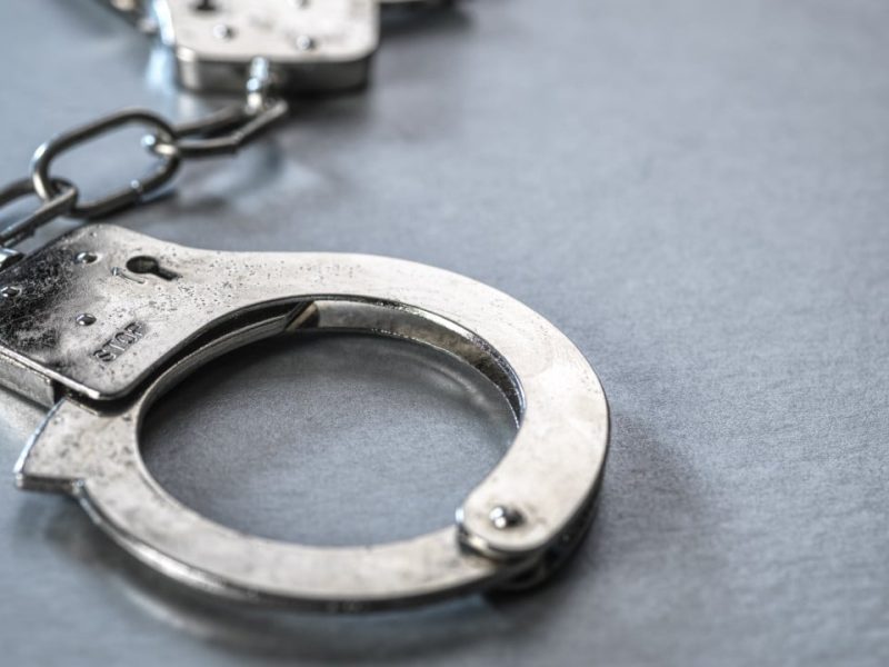 Полицията в Хонконг арестува 3 жени за предполагаема кражба на домашни любимци от 1 милион долара