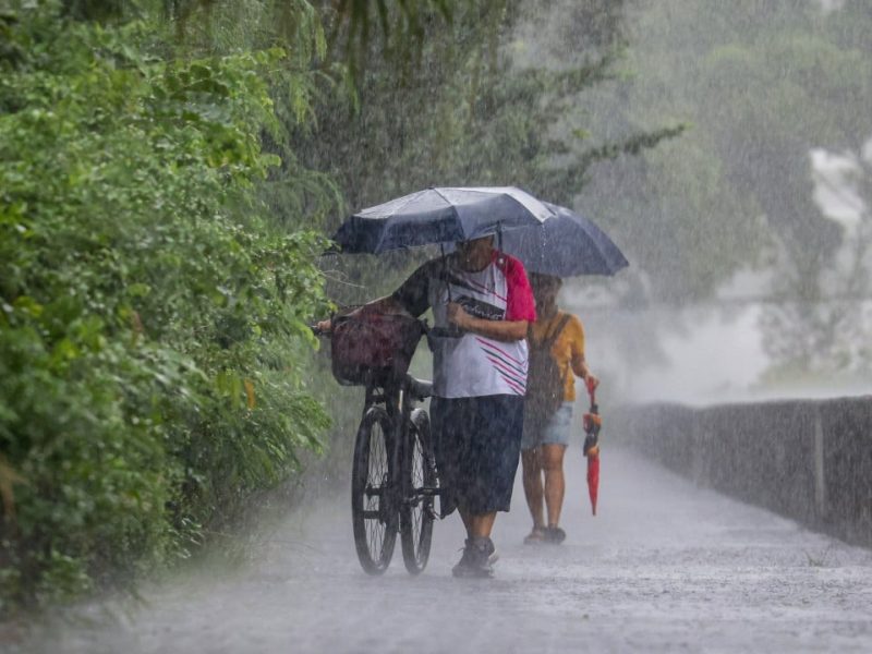 Хонконг може да бъде ударен от по -тежки душове в неделя след по -ранния поток: прогноза