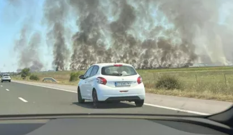 Пожарът край АМ “Тракия“ унищожи 400 декара земеделски площи