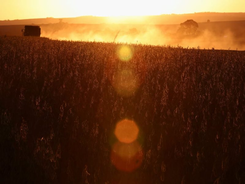 Вносът от Китай представлява над 5 милиона бразилски работни места, казва проучването