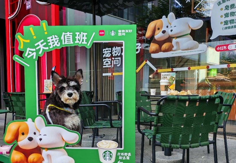 Starbucks казва, че създава „хъбове за общност на интереси“